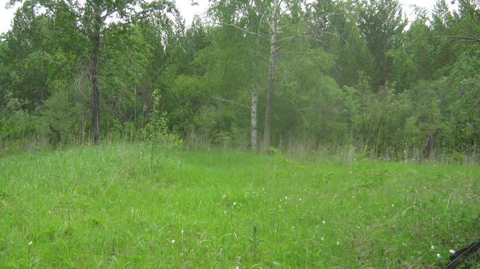 IMG_7883 (700x392, 460Kb)