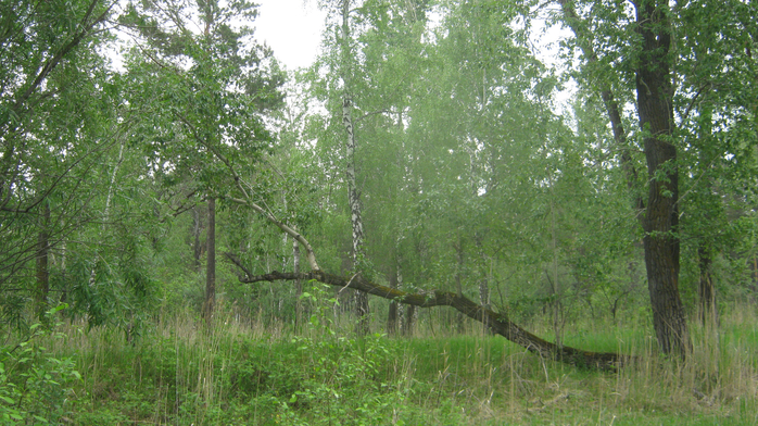 IMG_7888 (700x392, 479Kb)
