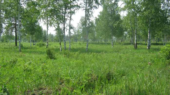IMG_7947 (700x392, 501Kb)