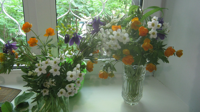 IMG_7956 (700x392, 349Kb)