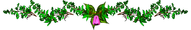 6069619 (626x100, 472Kb)