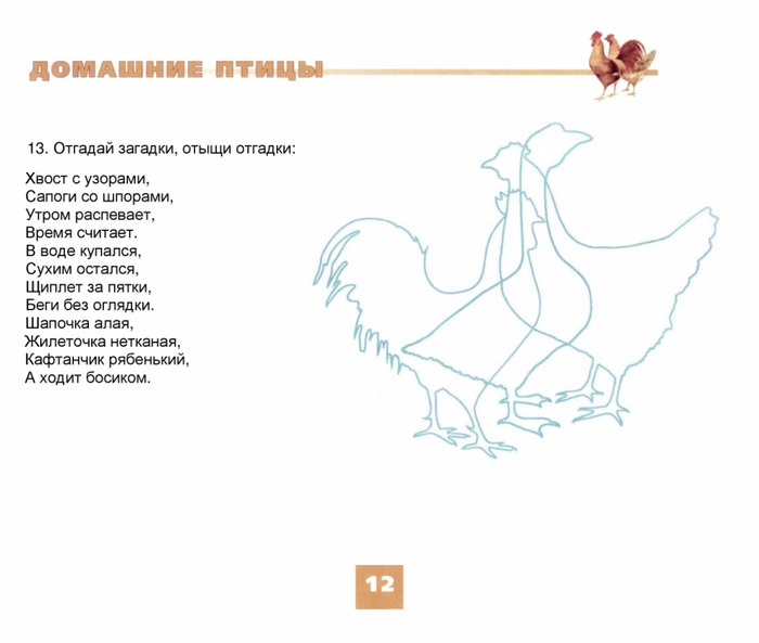 Тема птицы план. Хвост с узорами сапоги со шпорами. Шапочка алая жилеточка нетканая кафтанчик Рябенький отгадай загадку.