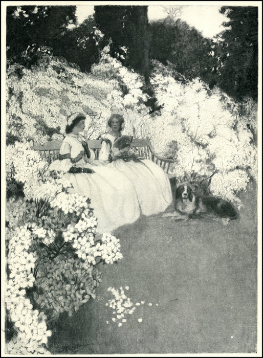 0� (514x700, 376Kb)