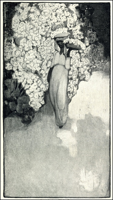 0� (395x700, 291Kb)