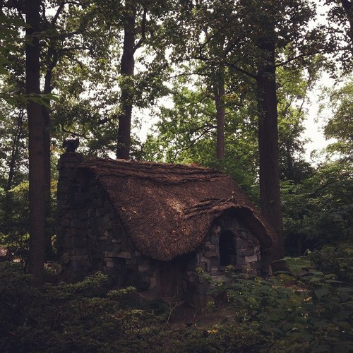 0dFtHeR8meA (500x500, 93Kb)
