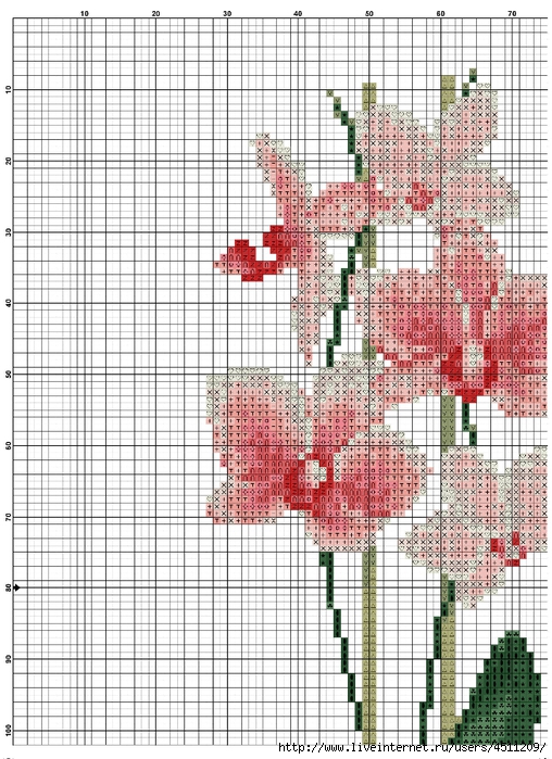 Схема вышивки орхидеи вышивка крестом