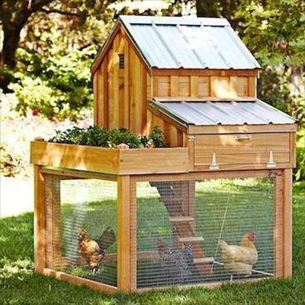 5582947_palletsplitlevelchickencoop (600x600, 73Kb)