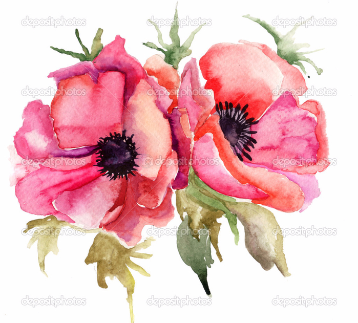 depositphotos_15637903-Stylized-Poppy-flowers-illustration (700x631, 405Kb)