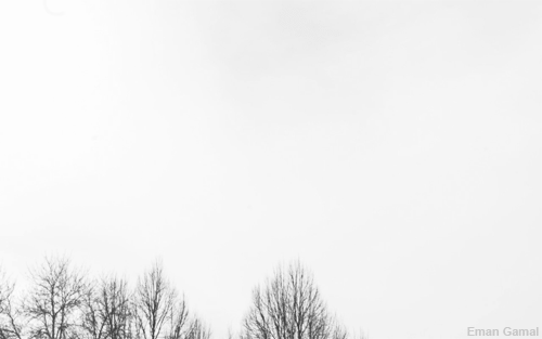 tumblr_mtmu04k4D81swayclo1_500 (500x313, 837Kb)