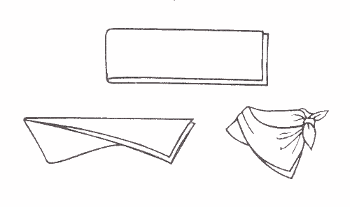 3245507_99582c67980f (500x297, 3Kb)