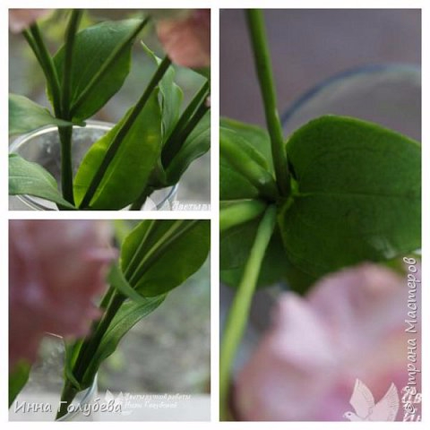 373451_2016-07-22_08.45.48 (480x480, 164Kb)