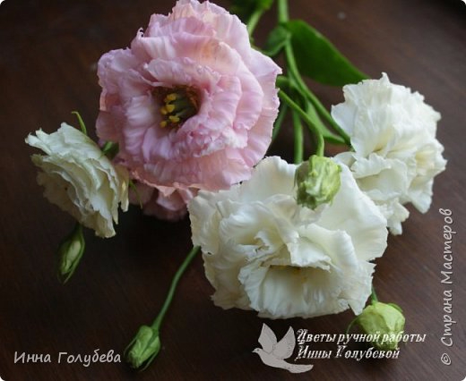 373451_img_20160722_080708_wm_0 (520x426, 166Kb)