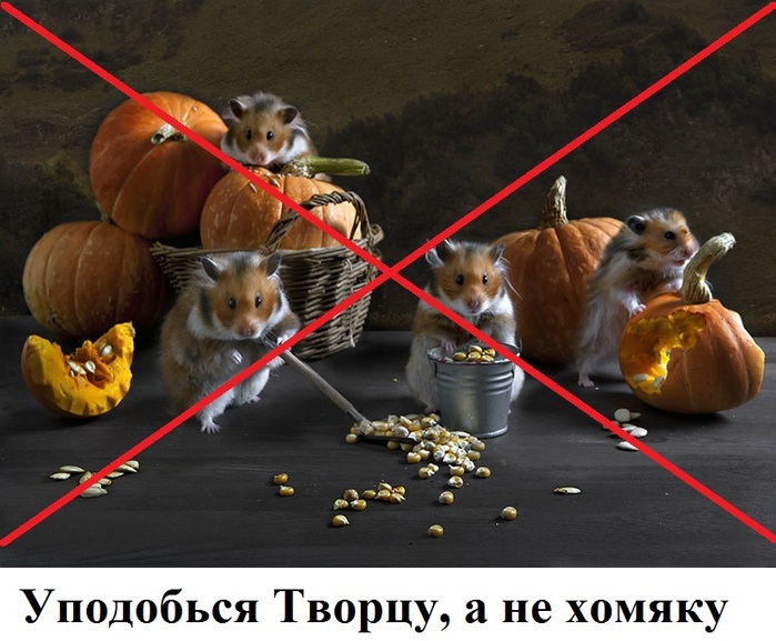 (700x577, 132Kb)