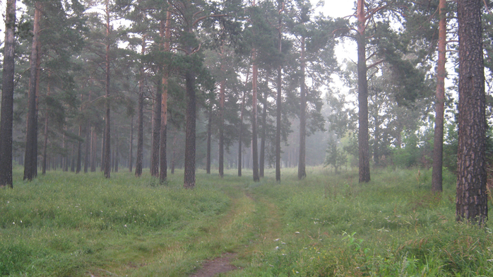IMG_8527 (700x392, 418Kb)
