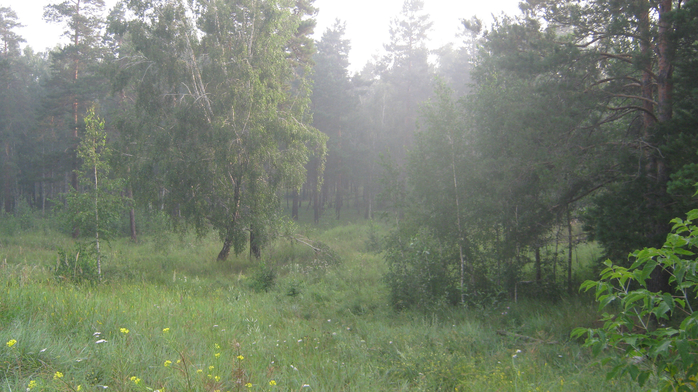 IMG_8535 (700x392, 397Kb)