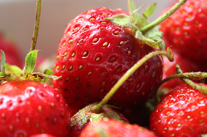 4052195_IMG_6902_copy_ (700x466, 409Kb)