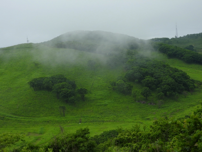5559494_DSCN4677 (700x525, 245Kb)