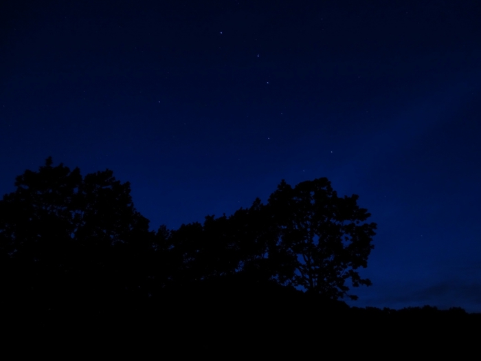 5559494_DSC04314 (700x525, 90Kb)