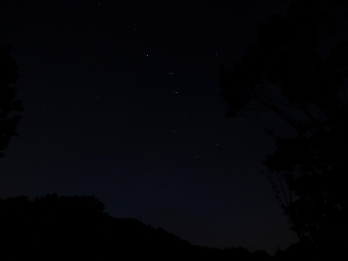 5559494_DSC04321 (700x525, 81Kb)