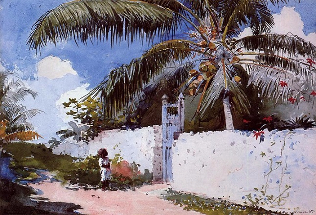 A Garden in Nassau, 1885 (646x441, 413Kb)