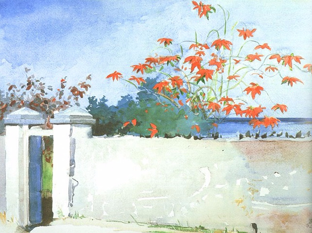 A Wall, Nassau, 1898 (642x479, 386Kb)