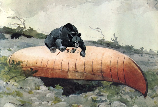 Bear and Canoe, 1895 (644x436, 274Kb)