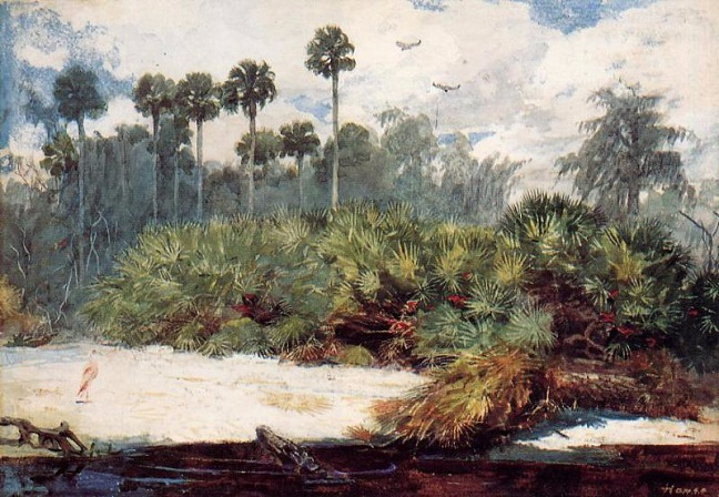 In a Florida Jungle, 188586 (648x448, 365Kb)