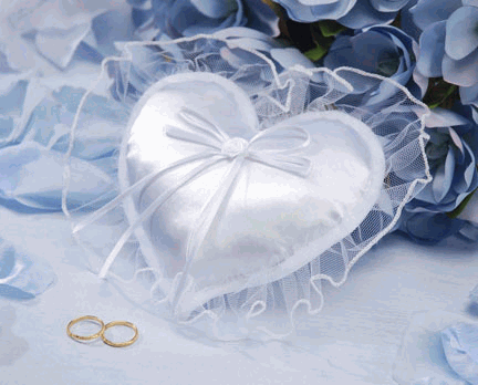 3511355_96233782_wedding_ring_pillow_white_tullie_lace_heart (432x348, 71Kb)