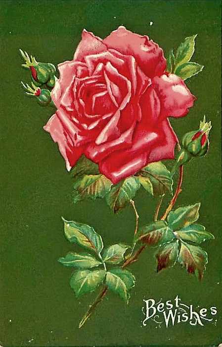 0-1 (449x700, 96Kb)