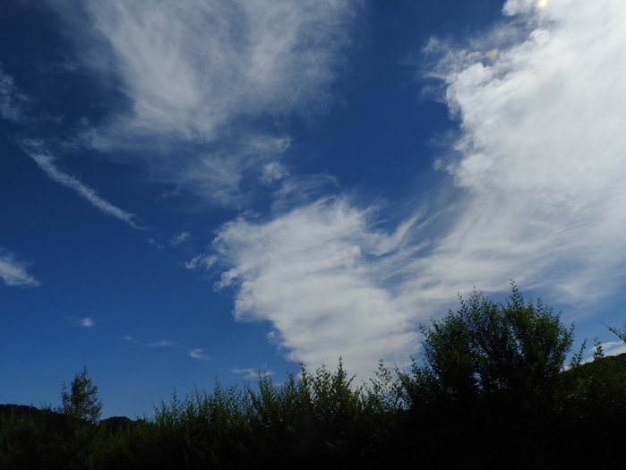 5559494_DSCN6883 (700x525, 193Kb)