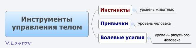 5954460_Instrymenti_ypravleniya_telom (665x165, 16Kb)