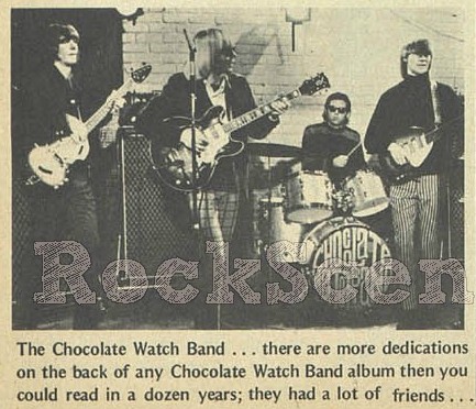 The Chocolate Watch Band