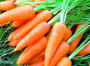 морковь сушеная 1 (294x215, 99Kb)