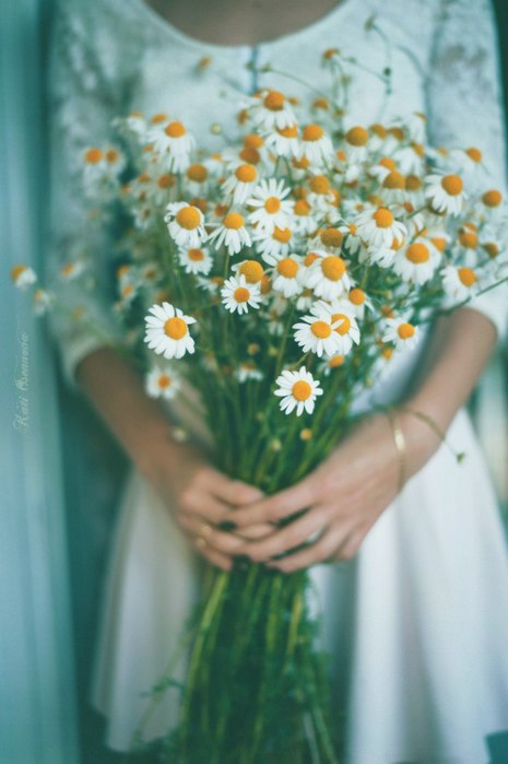 image_562408140815517764275 (465x700, 52Kb)