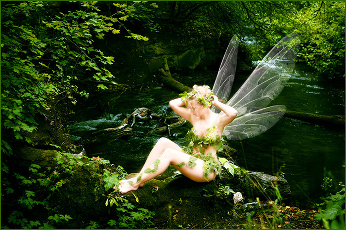 3906024_wp657b9ea3_05_06 (700x466, 250Kb)