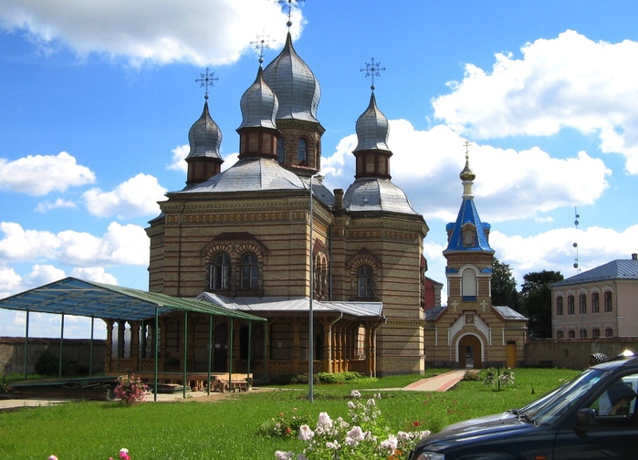 Зубастая черепаха с половиной панциря