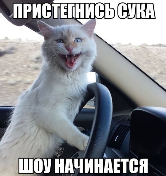 image (540x574, 56Kb)