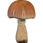  KBK_MushroomFairy (40) (600x600, 259Kb)