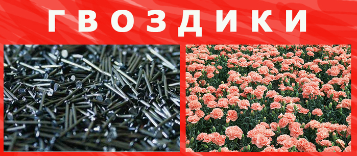  (700x306, 298Kb)