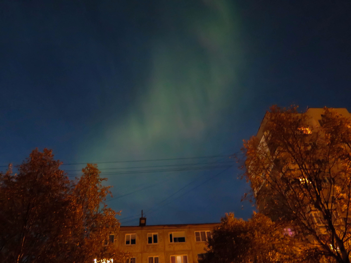 IMG_6383 (2) (700x525, 334Kb)