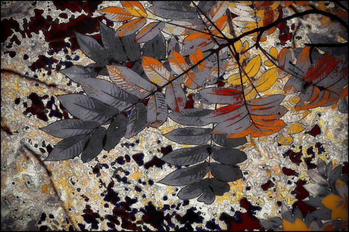 Park_X_A (700x465, 218Kb)