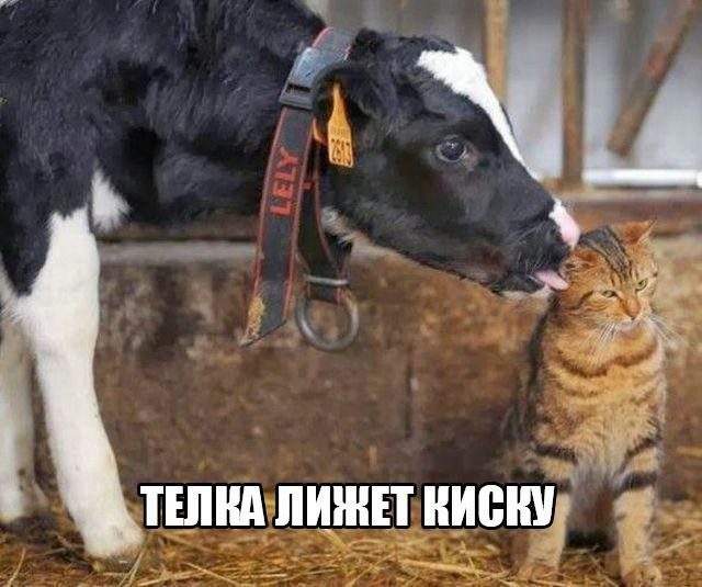 1 (640x535, 268Kb)
