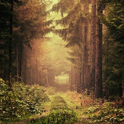 9JYaWvLT6RA (500x500, 106Kb)