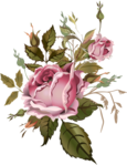  0_d3311_5a144bf_XL (539x700, 297Kb)