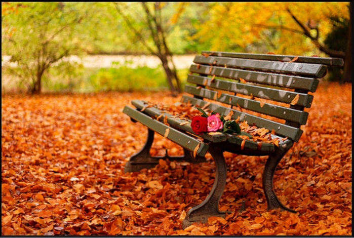 romantic-autumn (700x470, 475Kb)