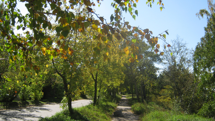 IMG_9038 (700x392, 494Kb)