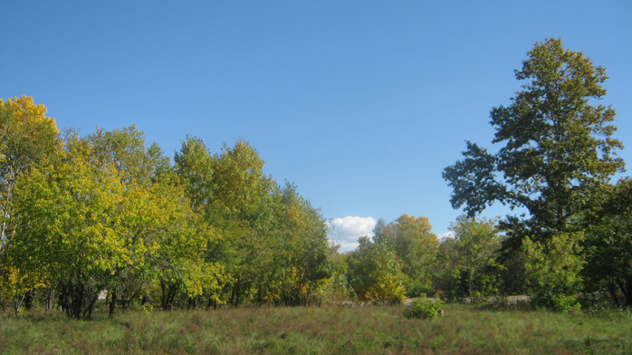IMG_9047 (700x392, 400Kb)