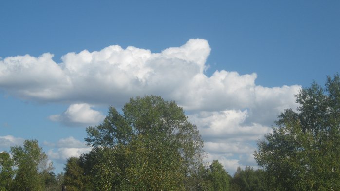 IMG_9083 (700x392, 326Kb)