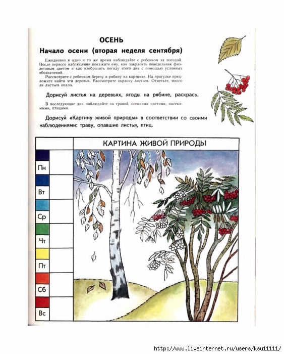 План конспект экологического занятия для дошкольников