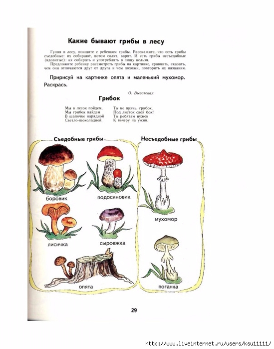 План конспект экологического занятия для дошкольников